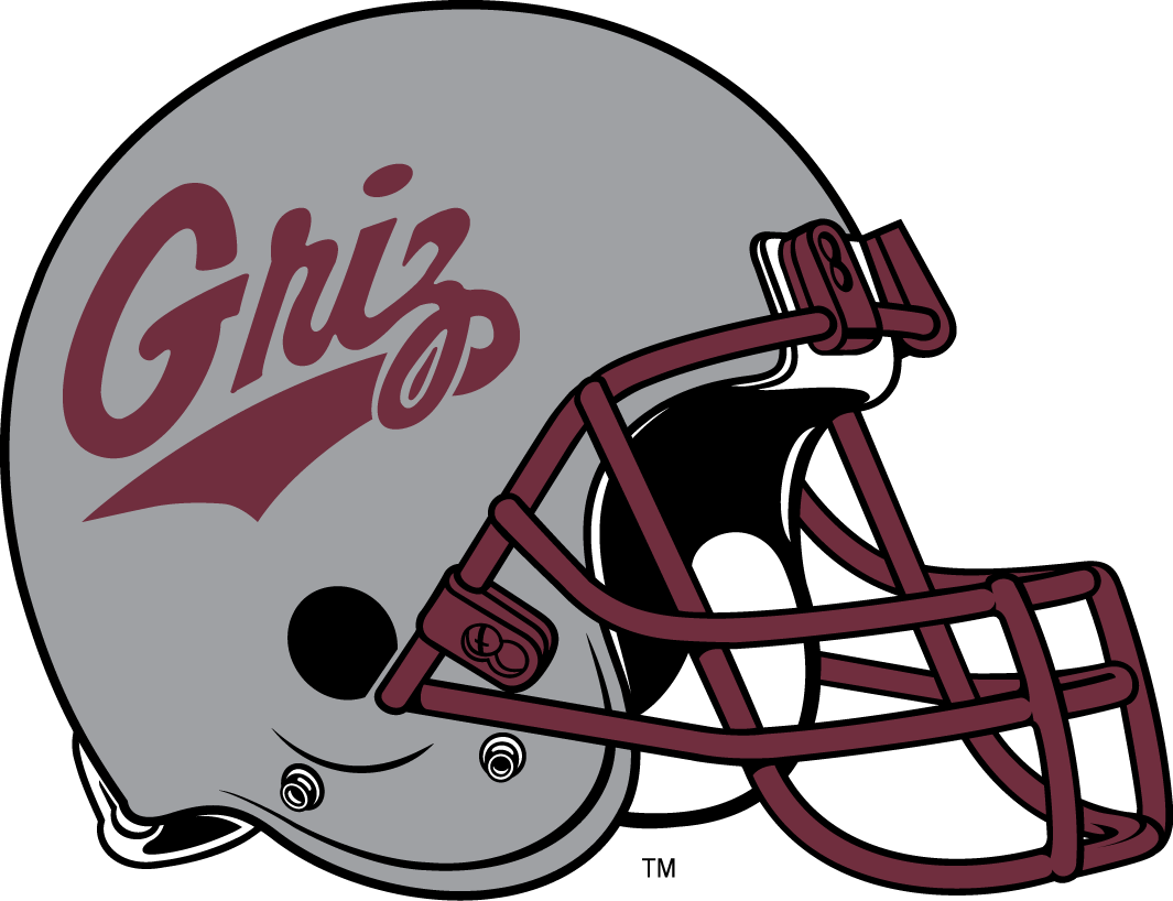 Montana Grizzlies 1996-Pres Helmet Logo diy DTF decal sticker